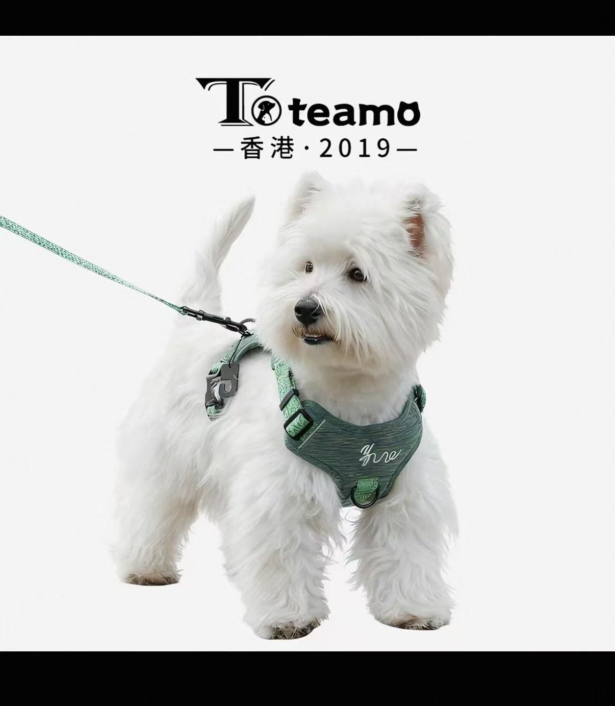 Pet harness set